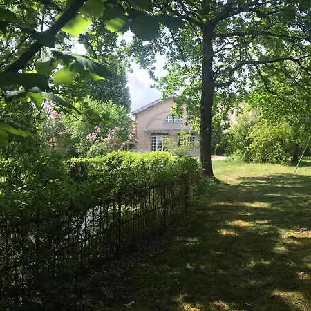 Domaine De La Serve Lancié