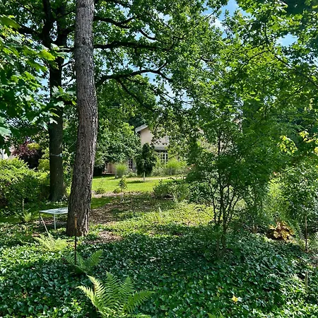 Domaine De La Serve Vakantiehuis Lancié